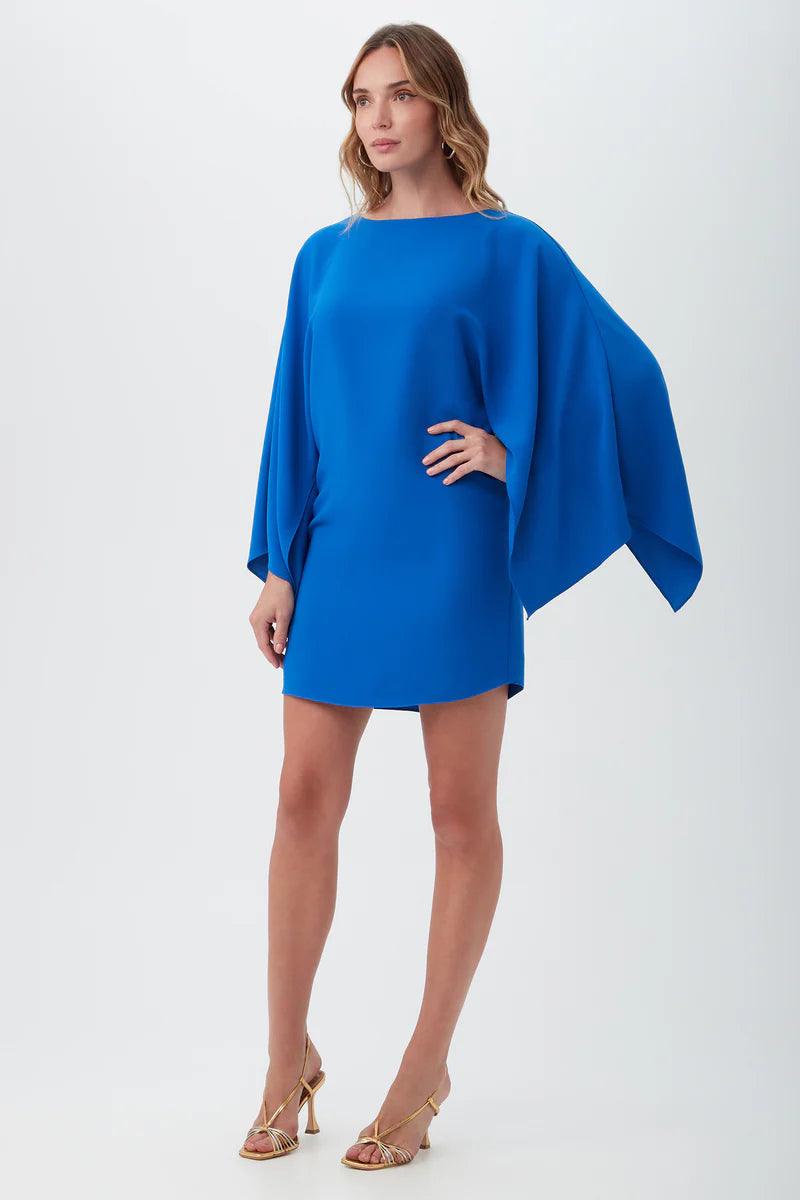 Super Savings mini dressDAIQUIRI FLUTTER SLEEVE DRESS