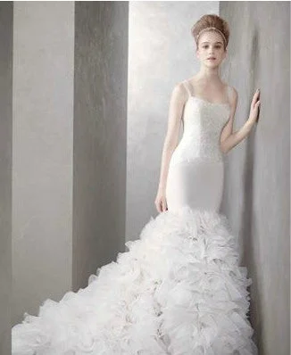 Buy More, Save More Vera Wang Mermaid Style Ivory dress